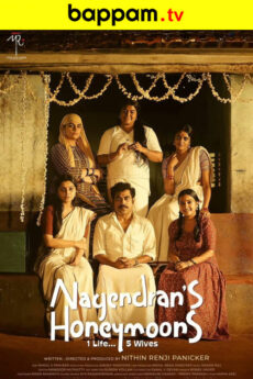 Nagendrans Honeymoons movie download in telugu